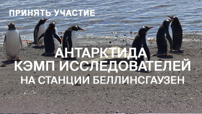 Антарктида