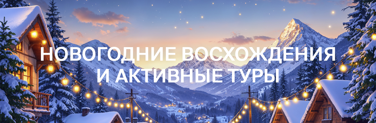 Новогобдние программы